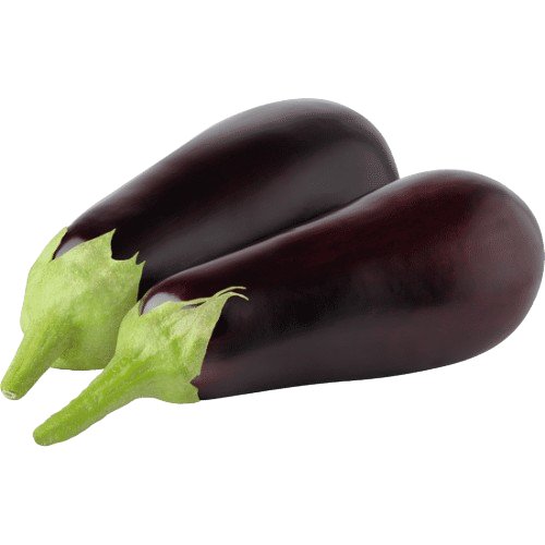 Berinjela
